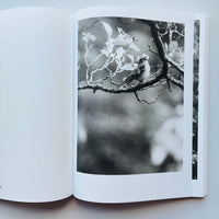 [Special Set] Natural Sources (German Edition) / Jochen Lempert
