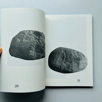 Twin Fields, Field, Fieldworks / Anne Hardy