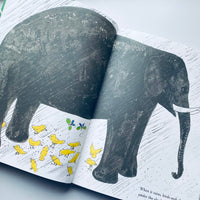 Bruno Murani's ZOO / Bruno Munari