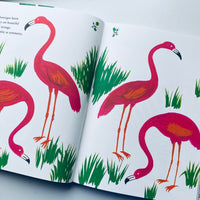 Bruno Murani's ZOO / Bruno Munari