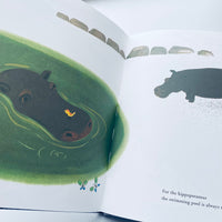 Bruno Murani's ZOO / Bruno Munari