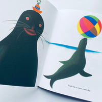 Bruno Murani's ZOO / Bruno Munari