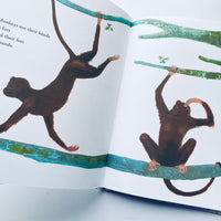 Bruno Murani's ZOO / Bruno Munari