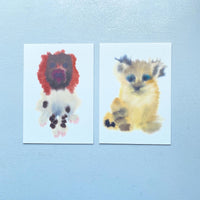 Bench Players Postcard Set / Rop van Mierlo