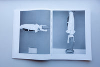 11”x17” Reader / Elisa van Joolen