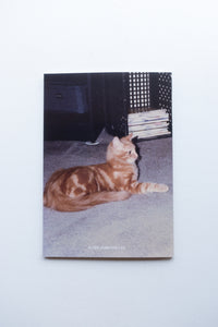 CATLOVERS / THE FOREVER CAT