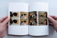 CATLOVERS / THE FOREVER CAT