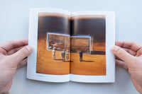 The Acrobat / Michael Borremans