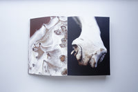 Omnipresent | Beyond Borders / Birgitta de Vos