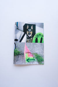 Shop Catalogue (8377) / Masanao Hirayama