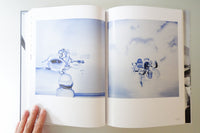 THE GREAT CIRCUS / Tomoo Gokita