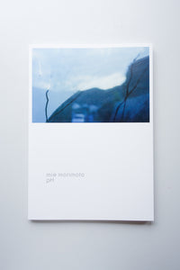 pH / 森本美絵 - Utrecht