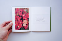 Cards from Aloha / 長尾周平