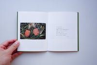 Cards from Aloha / 長尾周平