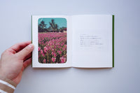 Cards from Aloha / 長尾周平