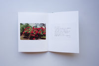 Cards from Aloha / 長尾周平