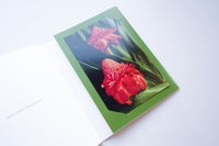 Cards from Aloha / 長尾周平