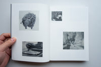 How to Do the Flowers / Ruth Van Beek