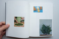 How to Do the Flowers / Ruth Van Beek