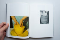 How to Do the Flowers / Ruth Van Beek