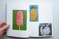 How to Do the Flowers / Ruth Van Beek
