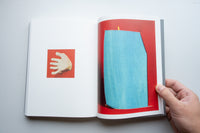 How to Do the Flowers / Ruth Van Beek