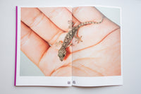 距離と深さ / 竹之内祐幸