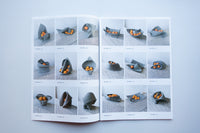 FRUIT BOWL / DDAA LAB