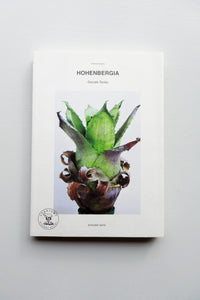 HOHENBERGIA “Serrate Tanks”