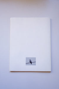 CIRCA / fumiko imano