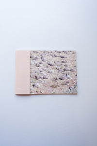 murren vol.18: アタカマ砂漠 / ATACAMA