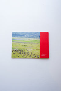 murren vol.20: WANDERVOGEL