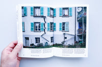 Arcatecture - Swiss Cat Ladders / Brigitte Schuster