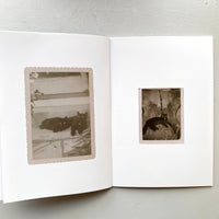 THE BLACK CAT / THE FOREVER CAT