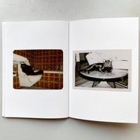 THE BLACK CAT / THE FOREVER CAT