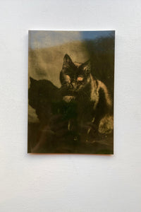 THE BLACK CAT / THE FOREVER CAT