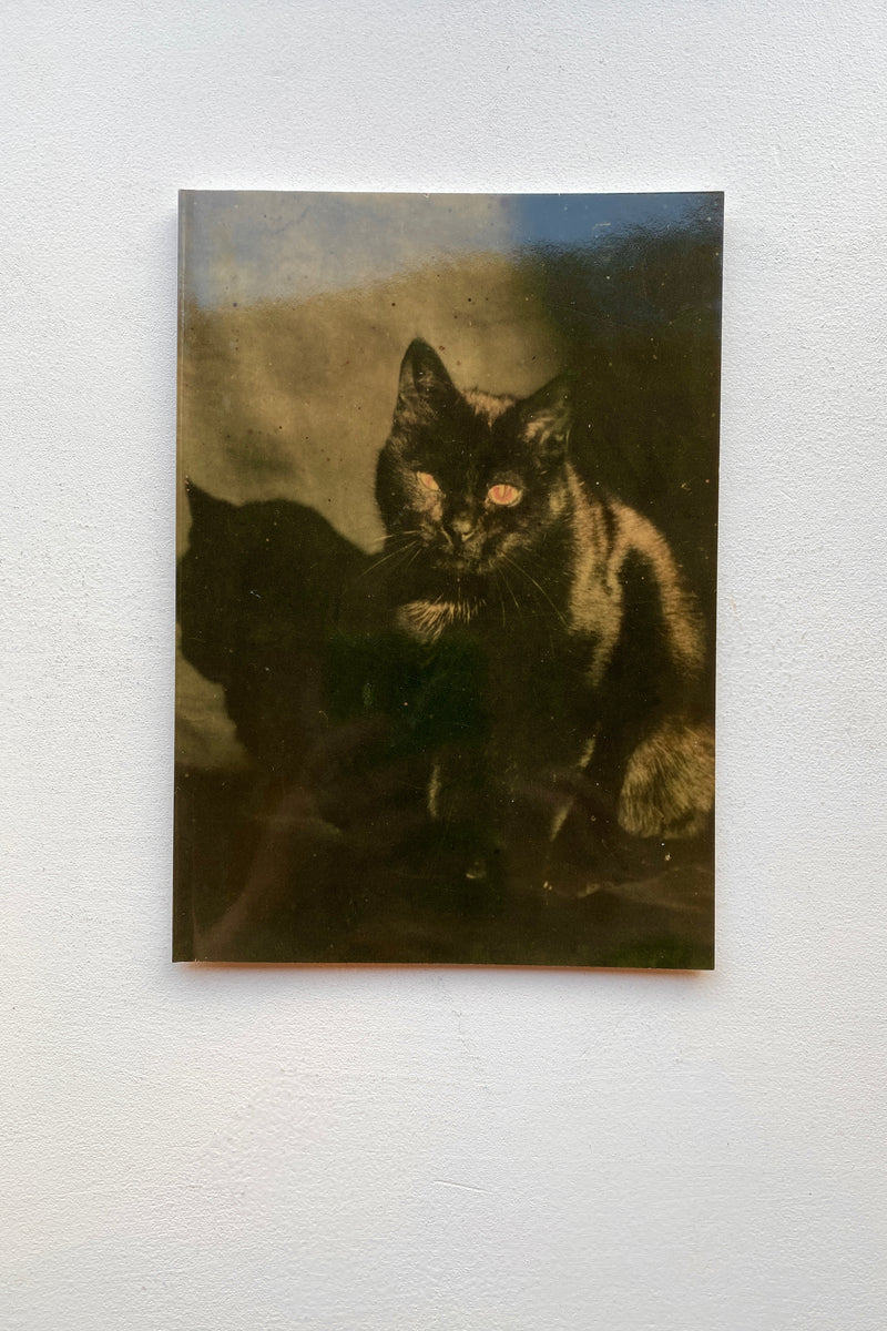 BLACK CAT 複製原画 Amazon.co.jp: 矢吹健太朗BLACKCATブラックキャット 複製原画 サイン