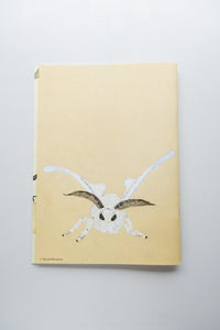 INSECTS 2 / Suzuko Momoyama