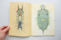 INSECTS 2 / Suzuko Momoyama