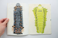 INSECTS 2 / Suzuko Momoyama