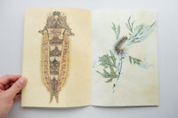 INSECTS 2 / Suzuko Momoyama