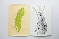 INSECTS 2 / Suzuko Momoyama