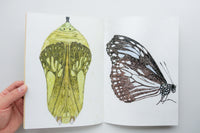 INSECTS 2 / Suzuko Momoyama