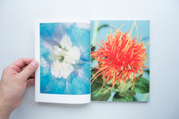 Mother / Adrian Samson