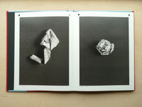 A SERIES OF DISAPPOINTMENTS / STEPHEN GILL