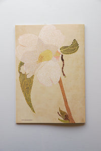 INSECTS / Suzuko Momoyama