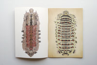 INSECTS / Suzuko Momoyama