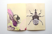INSECTS / Suzuko Momoyama
