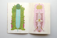 INSECTS / Suzuko Momoyama