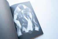 A Bullet for Buñuel- Fragments of a Failed Bullet / Rick Myers